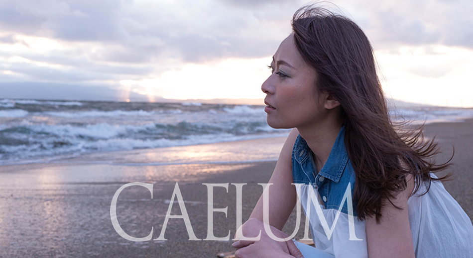 秋田市 美容室CAELUM｜カエルム｜ヘッドスパ｜デジタルパーマ｜スチームストレートパーマ｜システムキュール｜クリープパーマ｜縮毛矯正｜ヘアケア｜